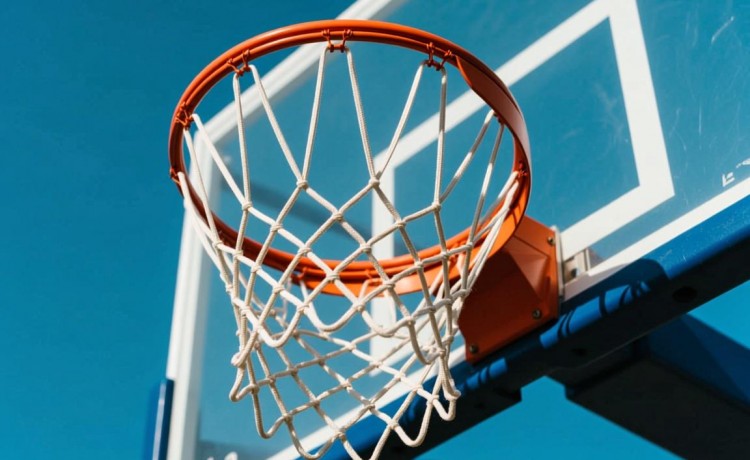 全民彩app官方网站官网